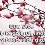 A pesar de tus imperfecciones, eres una bendición para aquellos a quienes amas