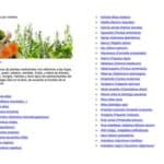 Aquí te presento un nuevo título manteniendo las mismas palabras: 10 plantas imprescindibles para cultivar en tu hogar.