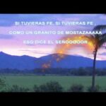 Título tal como está fe como un grano de mostaza: Fe como un grano de mostaza.

Nuevo título a partir de este: Un pequeño grano de fe puede mover montañas.