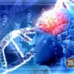 La Ciencia Encuentra 7 Formas En Las Que Las Emociones De Tus Antepasados Determinaran Tu Futuro